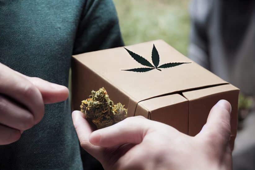 Supreme Dispensary is an online weed dispensary in Canada that sources and supplies the Gorilla Glue Strain. It also has several accessories for Gorilla Glue weed available to you.