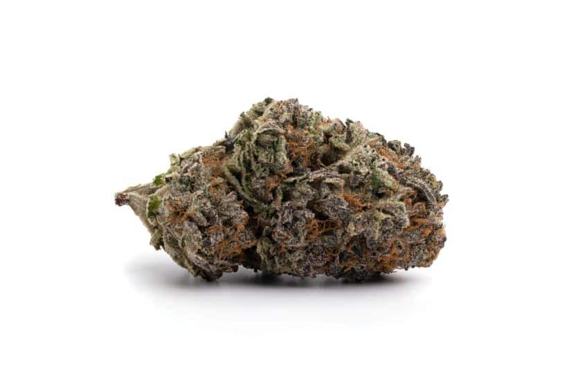 If you want to feel relaxed and collected but not so much that you're glued to the couch, then the Permanent Marker weed strain is a great choice.