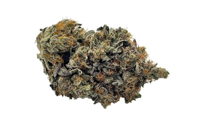 High-quality strains often have dense, well-trimmed nugs covered in a thick layer of trichomes, signalling a rich cannabinoid and terpene profile.