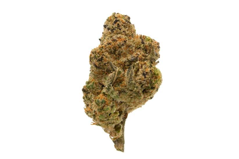 The Pink Goo strain is best for those who want an insanely potent bud that will sweep away their tensions, worries, and anxiety.