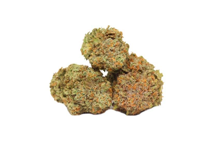 If you're ready to experience these terpenes all in one bud, buy the Pink Goo weed from a renowned online dispensary in Canada.