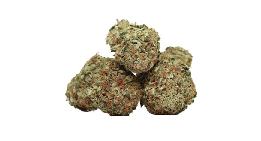 Think you've experienced it all? Pink Goo strain is the bud you didn't know you were missing—a balanced high that's impossible to forget.