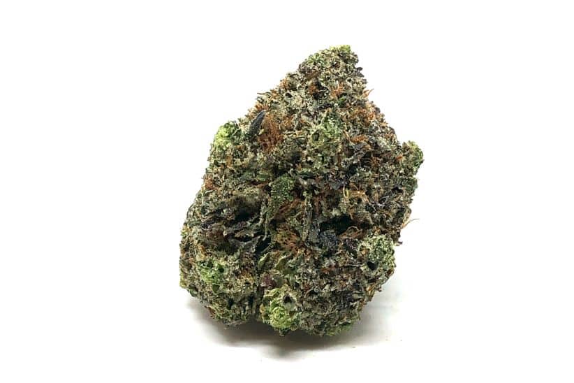 When trying to understand the quality of a strain, many people consider its THC concentration, flavour, effects, and aroma, and it's not bad.