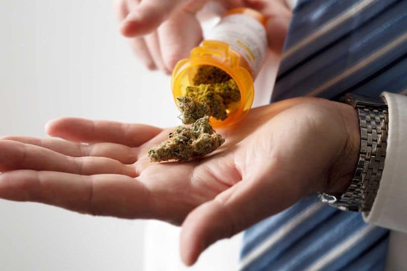 With a trusted dispensary like SupremeDispensary, you can enjoy the convenience, variety, and privacy of buying weed online in Canada.