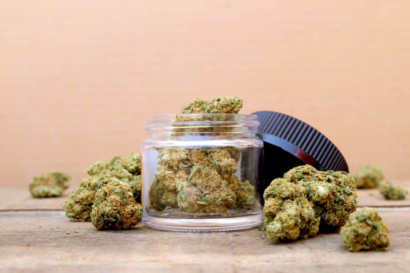 If you often buy weed online in Canada, you must have heard the term "indica" or even "sativa," the two primary varieties of weed.