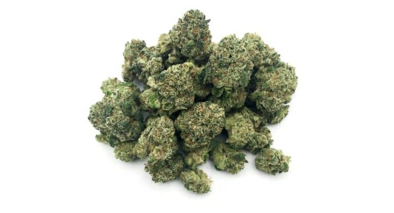 Say Goodbye to Lines – Buy Bud Online and Get BC’s Best Delivered to Your Door