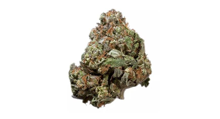 Buy indica flower online for a smooth, relaxing experience. Get premium, high-THC strains delivered fast and discreetly anywhere in Canada.