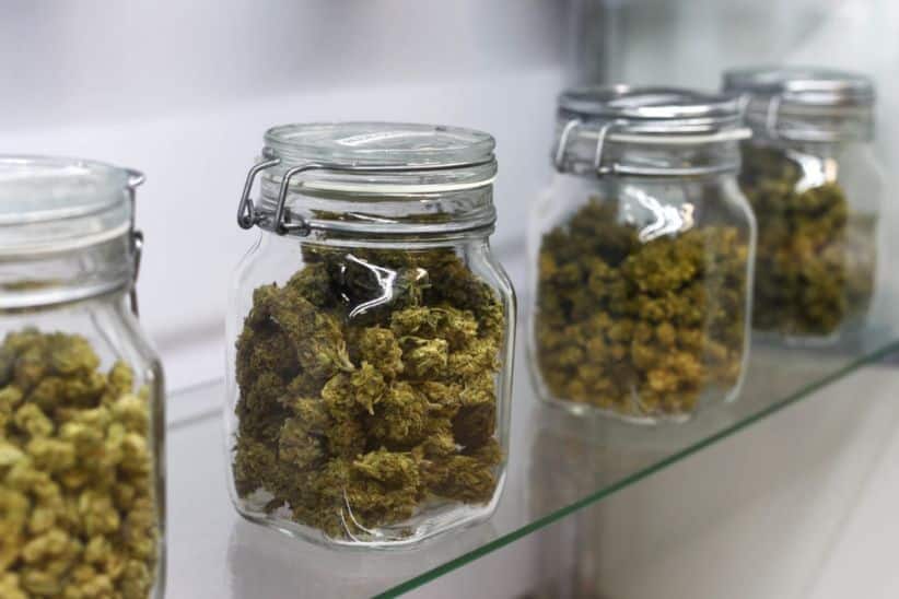 Joining our online dispensary in Canada is easy and completely free! You need to be at least 19 years old and live in Canada to be a member.