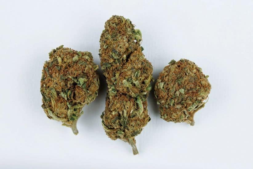 As always, when describing the effects of weed, it is important to note that everyone's reaction to cannabis can vary.