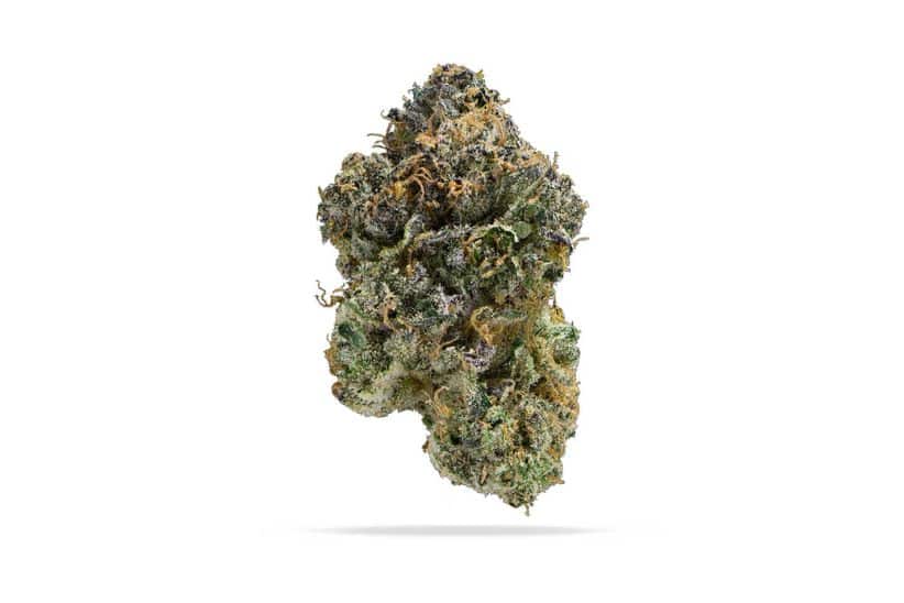 Seed Junky is a renowned marijuana breeder known for producing some of the best-selling strains in any online dispensary in Canada.