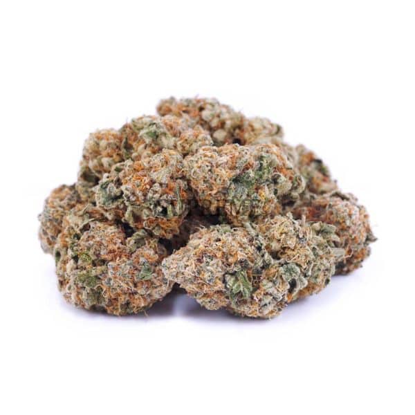 D115A2 FORUMCUTCOOKIES SUPREME D115A2 FORUMCUTCOOKIES SUPREME