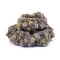 D139A2-LAKUSHCAKE-SUPREME