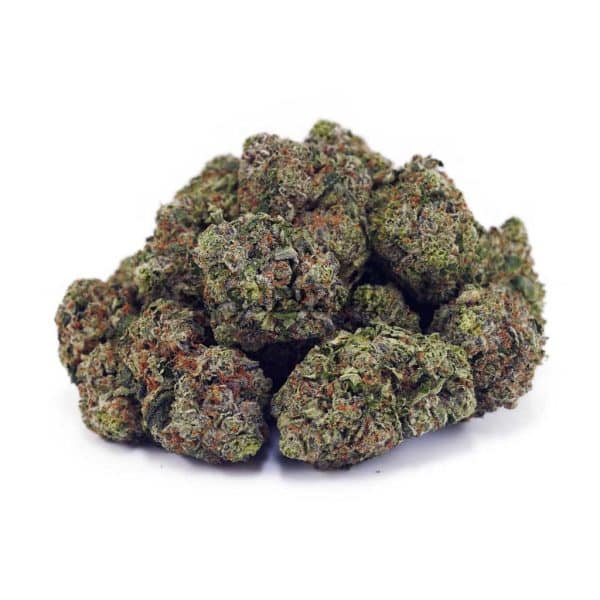 D849A2-GODSBREATH-SUPREME