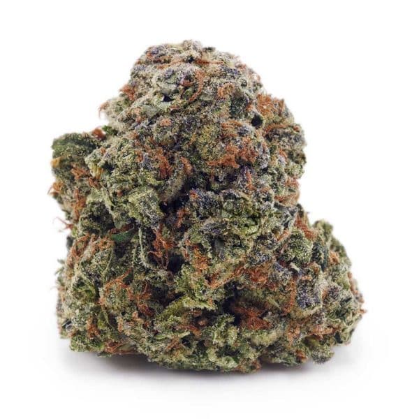 Buy Pineapple Godbud AAA at Supreme Dispensary Buy Pineapple Godbud AAA at Supreme Dispensary