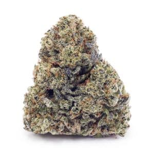 Buy Strawberry Cough AAA at Supreme Dispensary