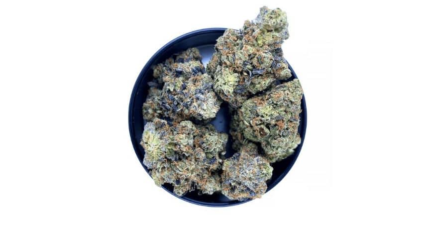 Generally, the aroma of the El Chapo weed strain is welcoming– drawing you for an experience you won’t forget. 