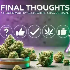 Final Thoughts Should You Try God's Green Crack Strain