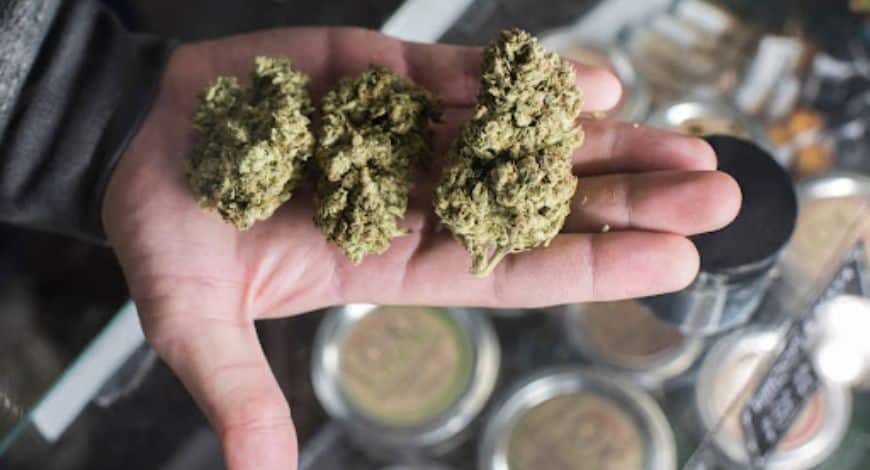 If you’re here then there’s a high chance you want to know how to get some of the cheapest online weed. So, here are some of the best ways to find the cheapest weed online.