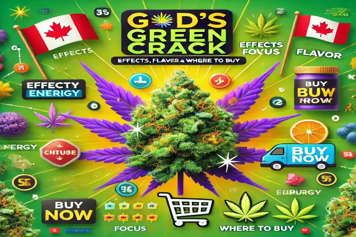God's Green Crack Strain Review Effects, Flavor, and Where to Buy