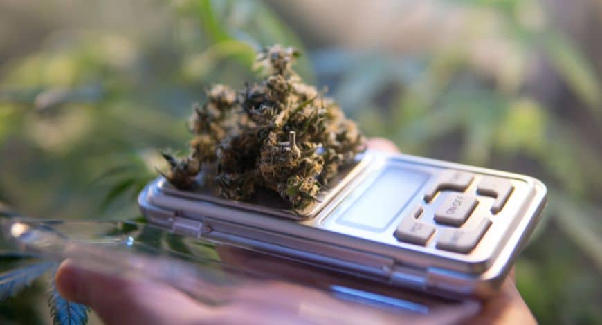An online pot store is a cannabis marketplace that allows you to buy cannabis online- all from the comfort of your warm home.