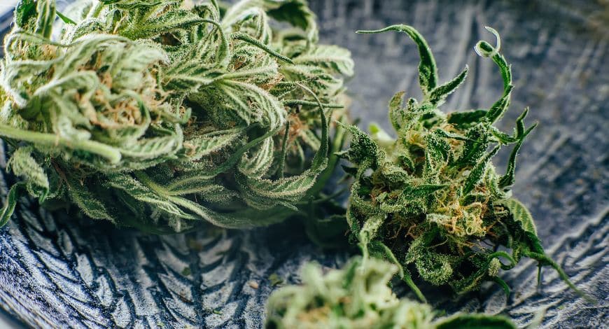 When buying weed from a cannabis store, you will come across several weed strains with strange names.