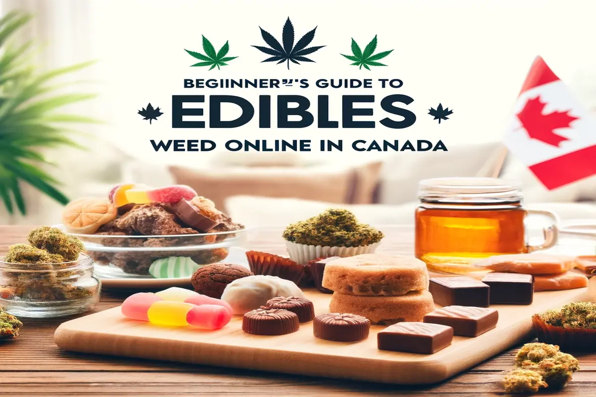 Beginner’s Guide to Edibles Weed Online in Canada