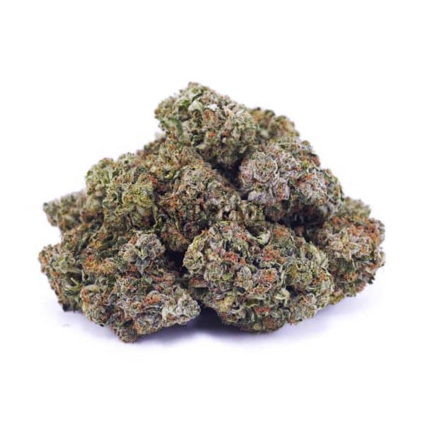 D163A2 GALACTICGAS SUPREME D163A2 GALACTICGAS SUPREME