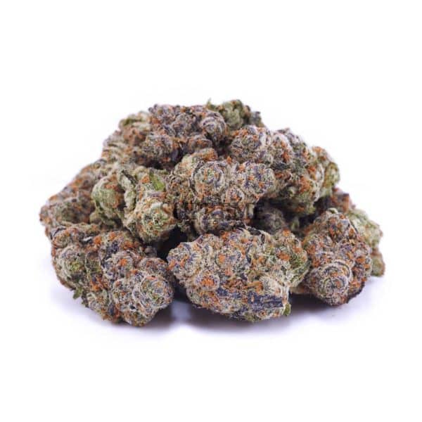 D164A2 FORTUNECOOKIES SUPREME D164A2 FORTUNECOOKIES SUPREME