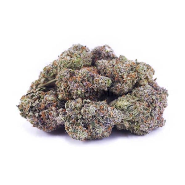 D170A2 MONSTERPINK SUPREME