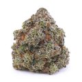 Buy Ice Cream Cake AAAA at Supreme Dispensary