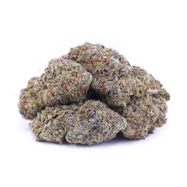 D180A2 WHITESKUNK SUPREME D180A2 WHITESKUNK SUPREME