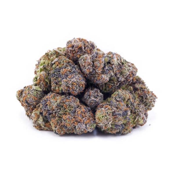 D224A2 FUNKYCHARMZ SUPREME D224A2 FUNKYCHARMZ SUPREME