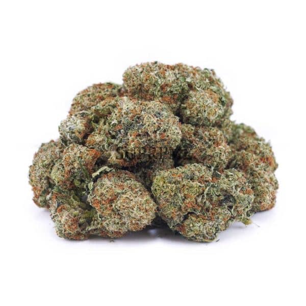 D636A2 ROCKSTAR SUPREME D636A2 ROCKSTAR SUPREME