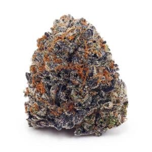 Buy Chocolate Kush AAAA at Supreme Dispensary