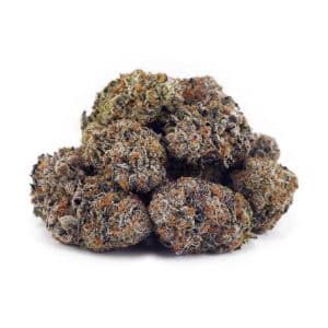 Buy Chocolate Kush AAAA at Supreme Dispensary