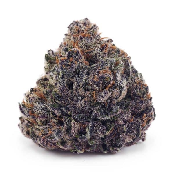 Buy Grape Ape AAAA at Supreme Dispensary Buy Grape Ape AAAA at Supreme Dispensary