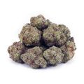 Buy Birthday Cake Kush AAA at Supreme Dispensary