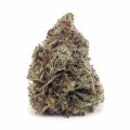 Buy White Skunk AA at Supreme Dispensary