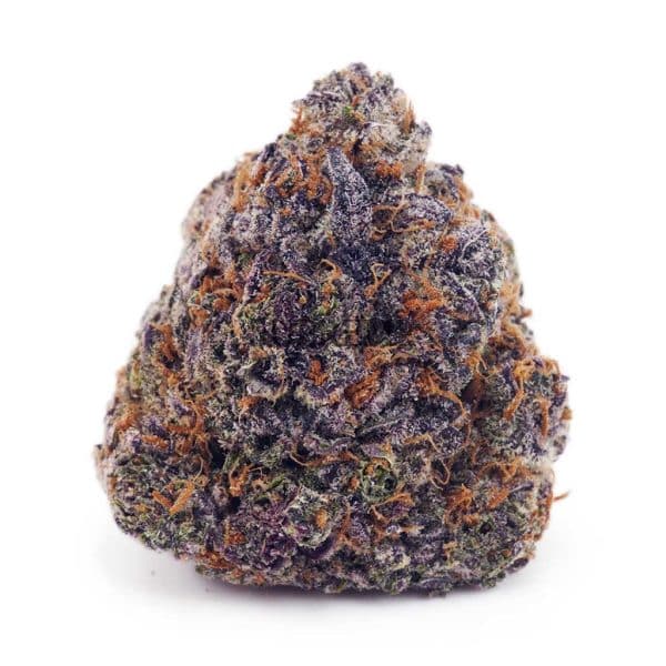 Buy Grape Stomper AAAA at Supreme Dispensary Buy Grape Stomper AAAA at Supreme Dispensary
