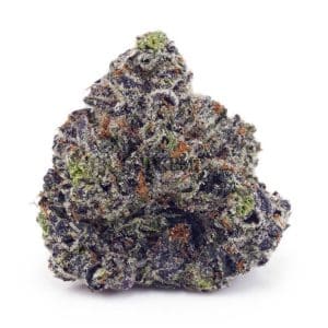 Buy Pre-98 Bubba AAA at Supreme Dispensary