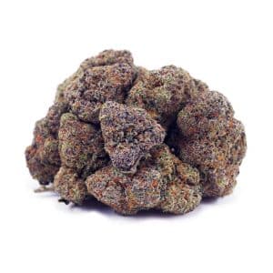 Buy Golden Goat AAA at Supreme Dispensary