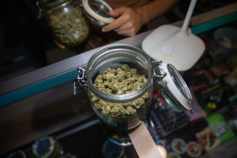 Online Pot in Canada: Where You’ll Find Fire Bud, High THC & Killer Prices