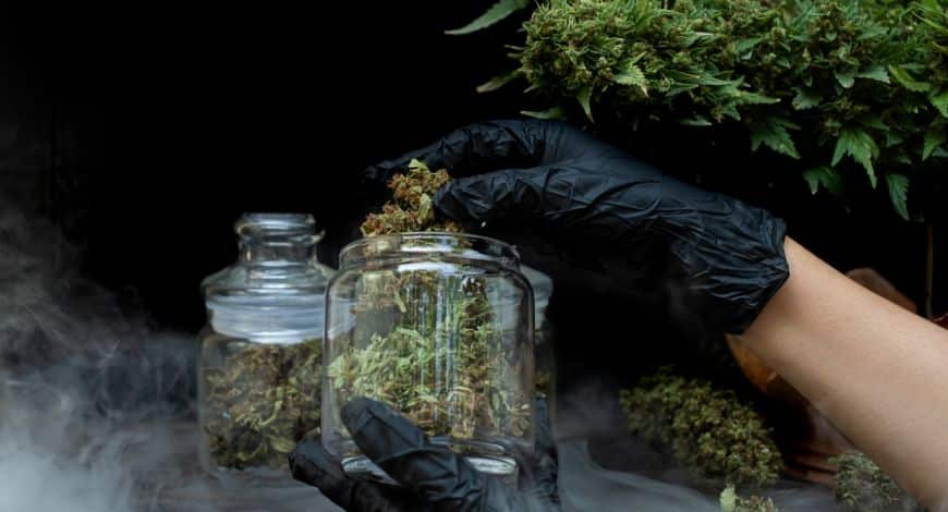 When we say buying online pot in Canada is much better than shopping from a retail cannabis store, we aren’t just pulling this out of our armpits. 