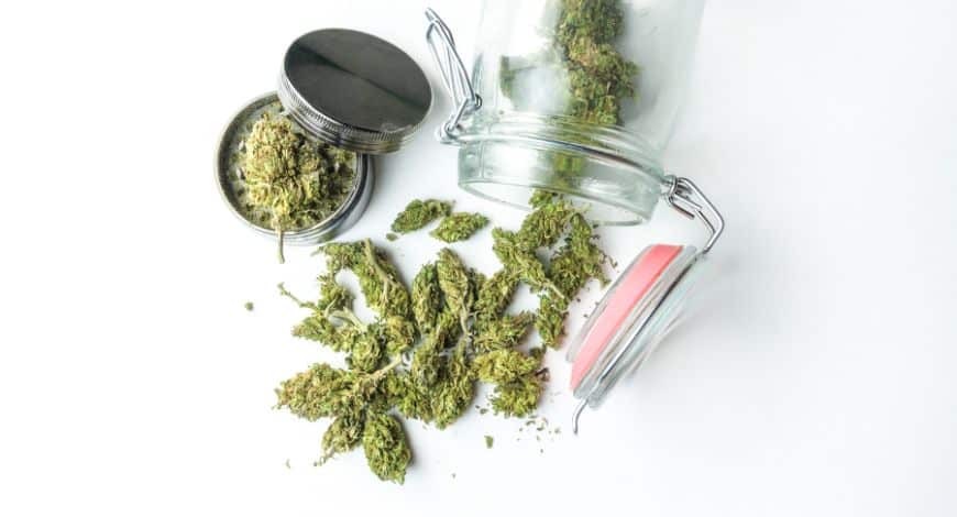 If you’ve been feeling torn between these two options, we hope we've shown you why shopping from an online pot store is the superior choice. 