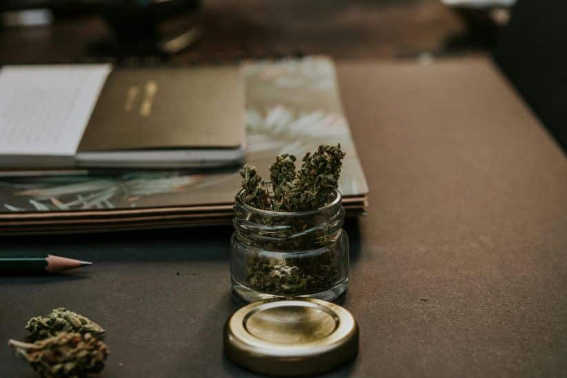 If you want to know more about the Apple Fritter strain, here’s where you need to be. Come find out everything you should know about it.
