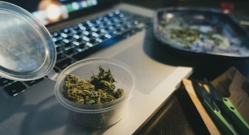 Buy Weed Online in Canada