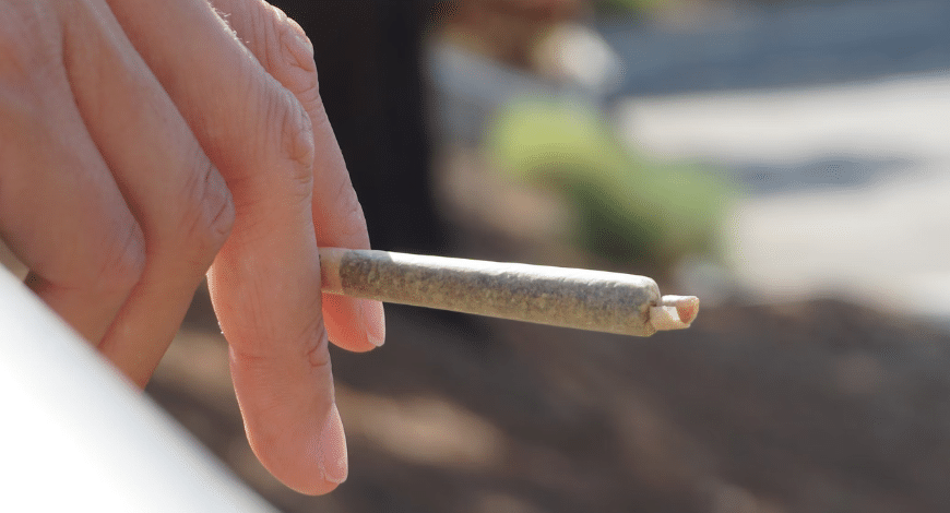 Cannabis pre-rolls neatly arranged, showcasing ready-to-use products from a Canadian online dispensary