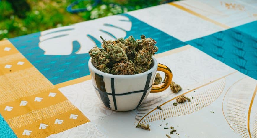 We’ve gotten to the good part. How to really get cheap bud in Canada. You can’t not know these weed strains if you like discounted bud. Here are some of the most affordable cannabis strains available.