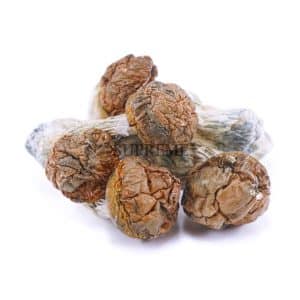 Buy Shrooms - Texas Penis Envy Mushrooms at Supreme Dispensary