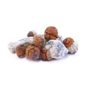Buy Shrooms - Texas Yellow Cap Mushrooms at Supreme Dispensary